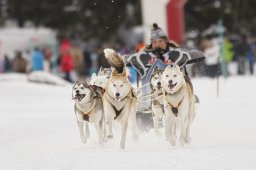 Lenzerheide 2013